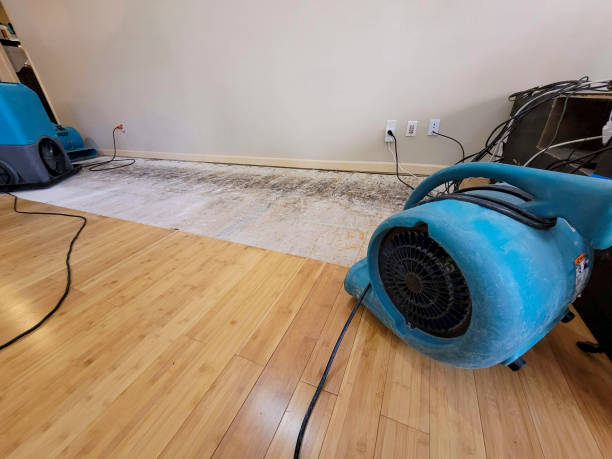 Professional Water Damage Repair technician working in Fairview, NC